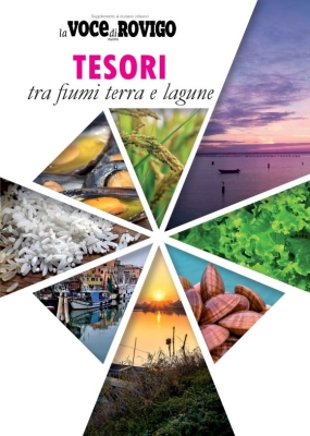Voce di Rovigo - Inserto