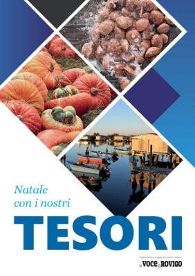 Voce di Rovigo - Inserto